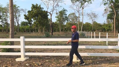 ที่ดินโฉนด ใกล้รพ.และตลาดจอมบึง 200 ตารางวา 490,000 บาท