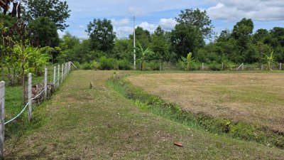 บ้านริมคลอง 2ไร่ ต.เขาขลุง อ.บ้านโป่ง จ.ราชบุรี