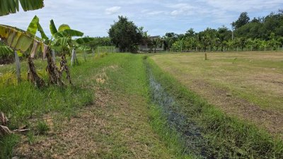 บ้านริมคลอง 2ไร่ ต.เขาขลุง อ.บ้านโป่ง จ.ราชบุรี บ้านริมคลอง 2ไร่ ต.เขาขลุง อ.บ้านโป่ง จ.ราชบุรี