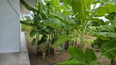 บ้านริมคลอง 2ไร่ ต.เขาขลุง อ.บ้านโป่ง จ.ราชบุรี บ้านริมคลอง 2ไร่ ต.เขาขลุง อ.บ้านโป่ง จ.ราชบุรี