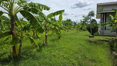บ้านริมคลอง 2ไร่ ต.เขาขลุง อ.บ้านโป่ง จ.ราชบุรี บ้านริมคลอง 2ไร่ ต.เขาขลุง อ.บ้านโป่ง จ.ราชบุรี