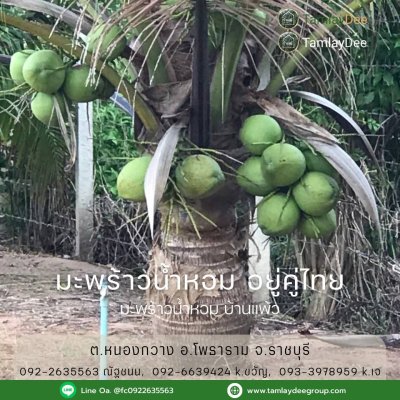 บ้านสวน วัยเกษียณ ปลูกพืชสวนผสม บนเนื้อที่ 4 ไร่ 60 ตร.วา