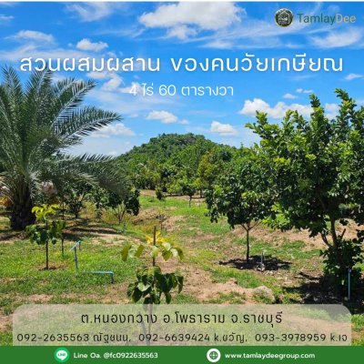 บ้านสวน วัยเกษียณ ปลูกพืชสวนผสม บนเนื้อที่ 4 ไร่ 60 ตร.วา