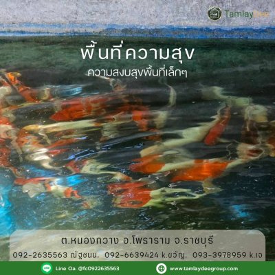 บ้านสวน วัยเกษียณ ปลูกพืชสวนผสม บนเนื้อที่ 4 ไร่ 60 ตร.วา