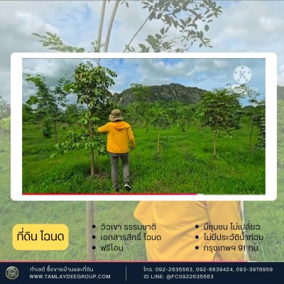 ที่ดินโฉนด วิวภูเขา ปลูกป่า สายรักธรรมชาติ ราชบุรี