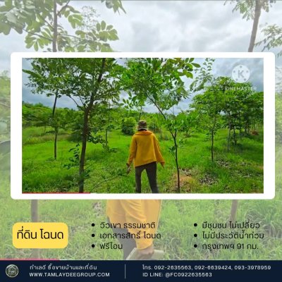 ที่ดินโฉนด วิวภูเขา ปลูกป่า สายรักธรรมชาติ ราชบุรี