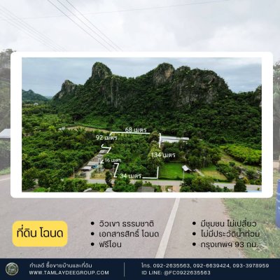 ที่ดินวิวเขา ติดถนนลาดยาง โฉนดครุฑแดง นส.4 จ.