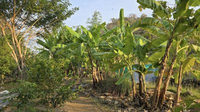 บ้านสวน ต.เขาชะงุ้ม อ.โพธาราม จ.ราชบุรี