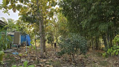 บ้านสวน ต.เขาชะงุ้ม อ.โพธาราม จ.ราชบุรี