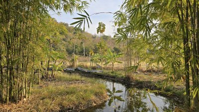 บ้านสวน ต.เขาชะงุ้ม อ.โพธาราม จ.ราชบุรี