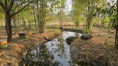 บ้านสวน ต.เขาชะงุ้ม อ.โพธาราม จ.ราชบุรี