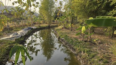 บ้านสวน ต.เขาชะงุ้ม อ.โพธาราม จ.ราชบุรี