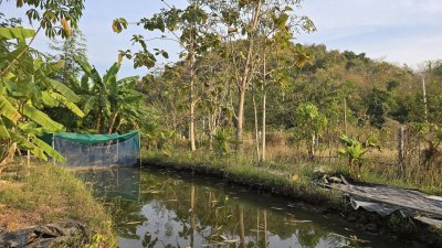 บ้านสวน ต.เขาชะงุ้ม อ.โพธาราม จ.ราชบุรี