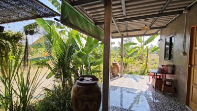 บ้านพร้อมที่ดินสวนเกษตร พร้อมบ่อน้ำ และโรงเรือนเลี้ยงสัตว์