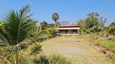 บ้านพร้อมที่ดินสวนเกษตร พร้อมบ่อน้ำ และโรงเรือนเลี้ยงสัตว์