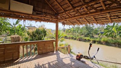 บ้านพร้อมที่ดินสวนเกษตร พร้อมบ่อน้ำ และโรงเรือนเลี้ยงสัตว์ บ้านพร้อมที่ดินสวนเกษตร พร้อมบ่อน้ำ และโรงเรือนเลี้ยงสัตว์