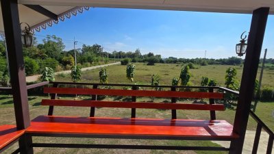 บ้านยกพื้น เนื้อที่ 1ไร่ 1งาน พร้อมโอน 2.5ล้าน