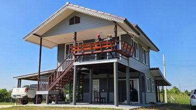 บ้านยกพื้น เนื้อที่ 1ไร่ 1งาน พร้อมโอน 2.5ล้าน บ้านยกพื้น เนื้อที่ 1ไร่ 1งาน พร้อมโอน 2.5ล้าน