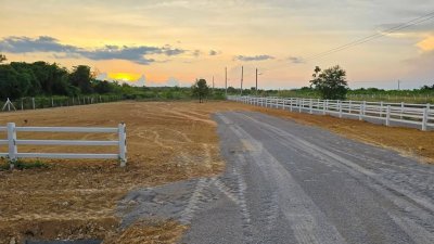 ที่ดินติดถนน 2 ด้าน ถมแล้ว ไฟฟ้า น้ำหน้าแปลง ทำเลค้าขาย ทำธุรกิจ