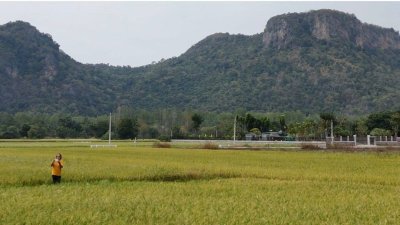 4 ไร่ 3 งาน 49 ตร.วา วิวเขา ทำเกษตรได้ มีคลองส่งน้ำ