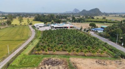 4 ไร่ 3 งาน 49 ตร.วา วิวเขา ทำเกษตรได้ มีคลองส่งน้ำ