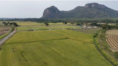 4 ไร่ 3 งาน 49 ตร.วา วิวเขา ทำเกษตรได้ มีคลองส่งน้ำ