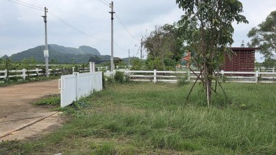 ที่ดินพร้อมสาธารณูปโภค ใกล้โครงการพระราชดำริเขาชะงุ้ม