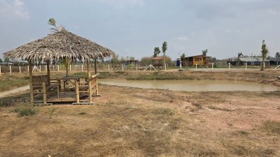 ที่ดิน 2 ไร่ ขุดสระ ขุดคลองไส้ไก่ ปรับถมเรียบร้อย ที่ดิน 2 ไร่ ขุดสระ ขุดคลองไส้ไก่ ปรับถมเรียบร้อย