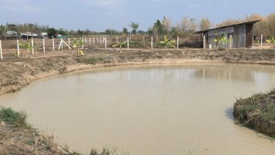 2ไร่ ขุดโคกหนองนาพร้อม มีบ้านน๊อคดาวน์ไม้ 1 หลัง