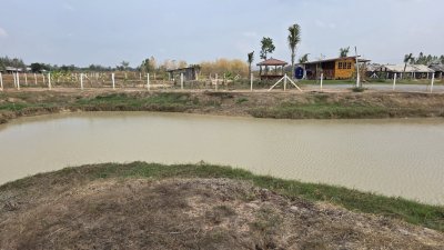 ที่ดิน 2 ไร่ ขุดสระ ขุดคลองไส้ไก่ ปรับถมเรียบร้อย