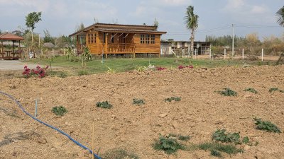 2ไร่ ขุดโคกหนองนาพร้อม มีบ้านน๊อคดาวน์ไม้ 1 หลัง