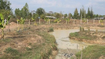 2ไร่ ขุดโคกหนองนาพร้อม มีบ้านน๊อคดาวน์ไม้ 1 หลัง