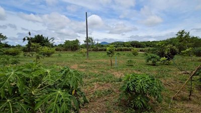 ที่ดินโฉนดติดคลองท่าเคย พร้อมบ้านพัก ลานกางเต้นท์ และอาคารอเนกประสงค์