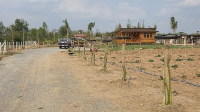 2ไร่ ขุดโคกหนองนาพร้อม มีบ้านน๊อคดาวน์ไม้ 1 หลัง