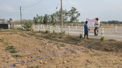 2ไร่ ขุดโคกหนองนาพร้อม มีบ้านน๊อคดาวน์ไม้ 1 หลัง