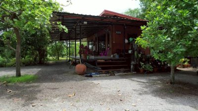 ที่ดินโฉนดติดคลองท่าเคย พร้อมบ้านพัก ลานกางเต้นท์ และอาคารอเนกประสงค์ ที่ดินโฉนดติดคลองท่าเคย พร้อมบ้านพัก ลานกางเต้นท์ และอาคารอเนกประสงค์