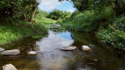 ที่ดินโฉนดติดคลองท่าเคย พร้อมบ้านพัก ลานกางเต้นท์ และอาคารอเนกประสงค์