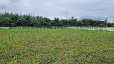 ที่ดินสวนผึ้ง เอกสารสิทธิ์โฉนด ท่ามกลางวิวเขา ใกล้แหล่งท่องเที่ยว