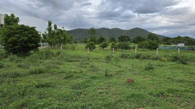 ขายที่ดินแปลงสวย #ถมสูงกว่าถนน ท่ามกลางวิวเขา #ใกล้แหล่งท่องเที่ยว ขายที่ดินแปลงสวย #ถมสูงกว่าถนน ท่ามกลางวิวเขา #ใกล้แหล่งท่องเที่ยว