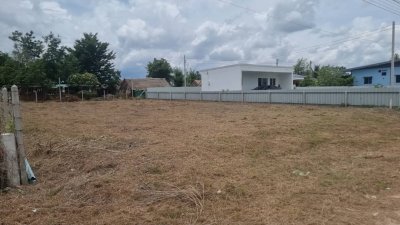 ที่ดินติดถนนลาดยาง 150 ตร.วา ราคา 490,000.- ฟรีโอน