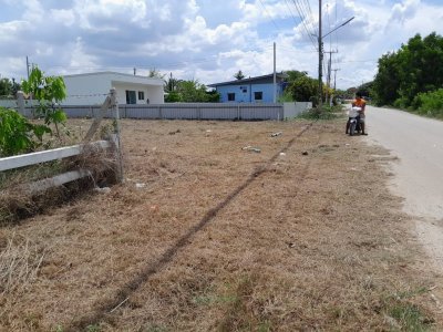 ที่ดินติดถนนลาดยาง 150 ตร.วา ราคา 490,000.- ฟรีโอน ที่ดินติดถนนลาดยาง 150 ตร.วา ราคา 490,000.- ฟรีโอน