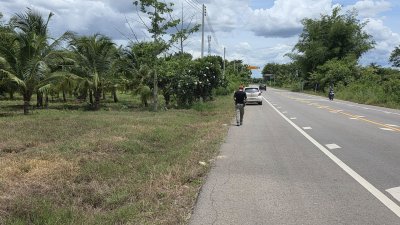สวนมะพร้าว วิวเขา ติดถนนทางหลวง มีถนน 2 ด้าน หน้า-หลัง สวนมะพร้าว วิวเขา ติดถนนทางหลวง มีถนน 2 ด้าน หน้า-หลัง