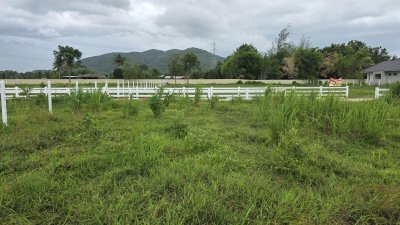 ที่ดินติดภูเขา ที่ดินโฉนด 350 ตร.วา 890,000.- อ.โพธาราม จ.ราชบุรี