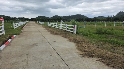 ที่ดินติดภูเขา ที่ดินโฉนด 350 ตร.วา 890,000.- อ.โพธาราม จ.ราชบุรี