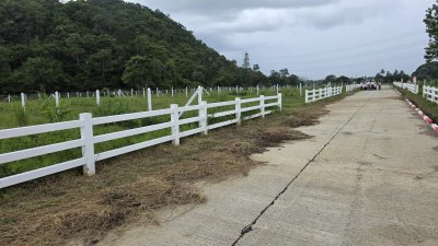 ที่ดินติดภูเขา ที่ดินโฉนด 350 ตร.วา 890,000.- อ.โพธาราม จ.ราชบุรี