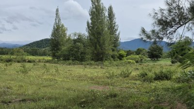 ขายที่ดินวิวสวย เห็นวิวเขาบ้านคา ต.หนองพันจันทร์ อ.บ้านคา จ.ราชบุรี ขายที่ดินวิวสวย เห็นวิวเขาบ้านคา ต.หนองพันจันทร์ อ.บ้านคา จ.ราชบุรี