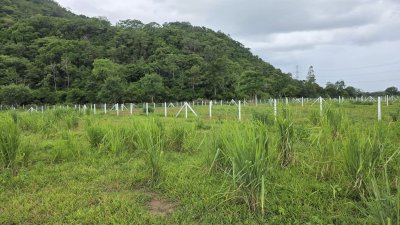 ที่ดินติดภูเขา ที่ดินโฉนด 350 ตร.วา 890,000.- อ.โพธาราม จ.ราชบุรี