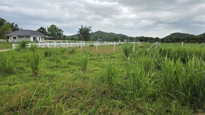 ที่ดินติดภูเขา ที่ดินโฉนด 350 ตร.วา 890,000.- อ.โพธาราม จ.ราชบุรี