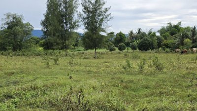 ขายที่ดินวิวสวย เห็นวิวเขาบ้านคา ต.หนองพันจันทร์ อ.บ้านคา จ.ราชบุรี ขายที่ดินวิวสวย เห็นวิวเขาบ้านคา ต.หนองพันจันทร์ อ.บ้านคา จ.ราชบุรี