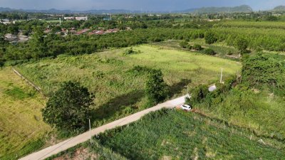 ขายที่ดินติดถนนคอนกรีต ใกล้ตลาด โรงพยาบาล 7-11 แค่ 5 นาที ขายที่ดินติดถนนคอนกรีต ใกล้ตลาด โรงพยาบาล 7-11 แค่ 5 นาที